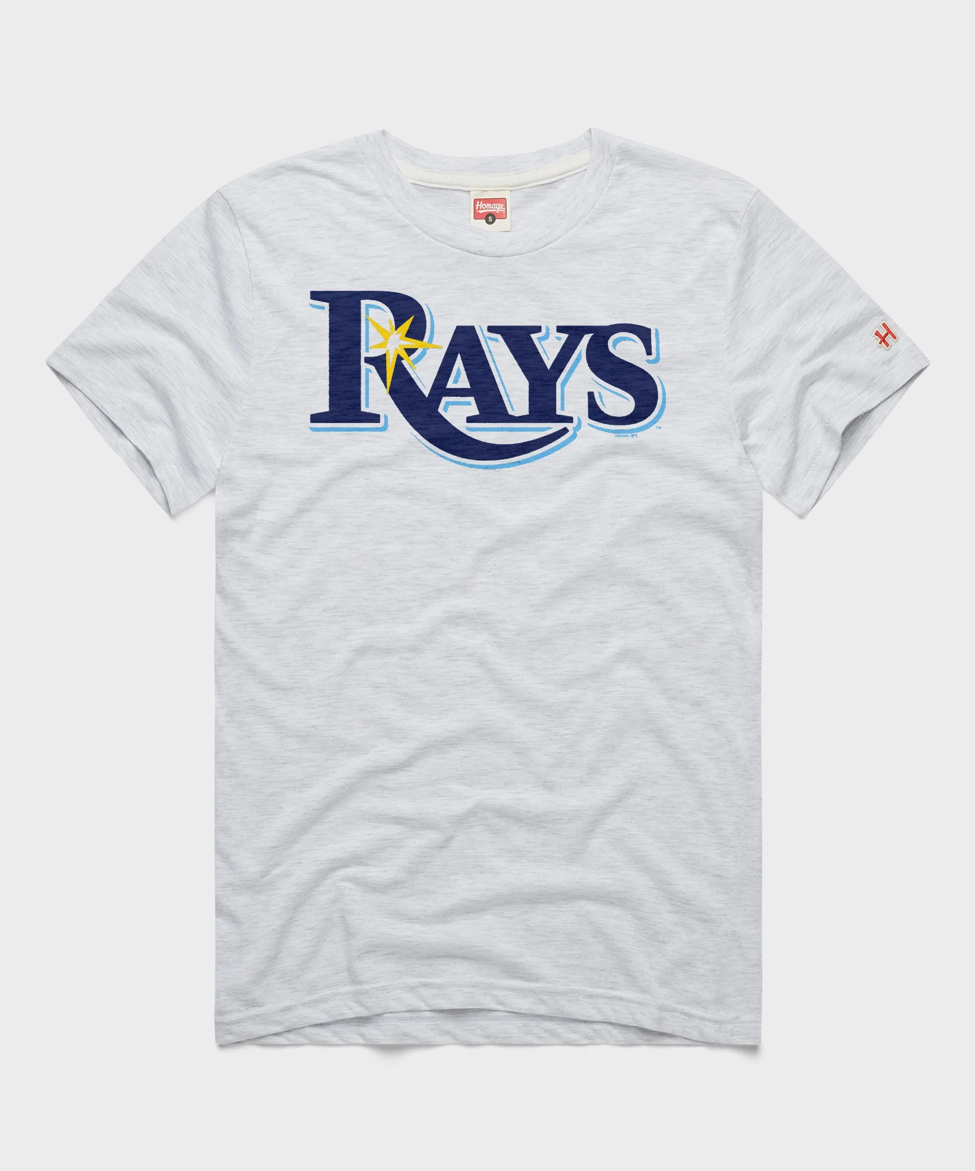 Tampa Bay Rays Jersey Logo '19 tee in Ash
